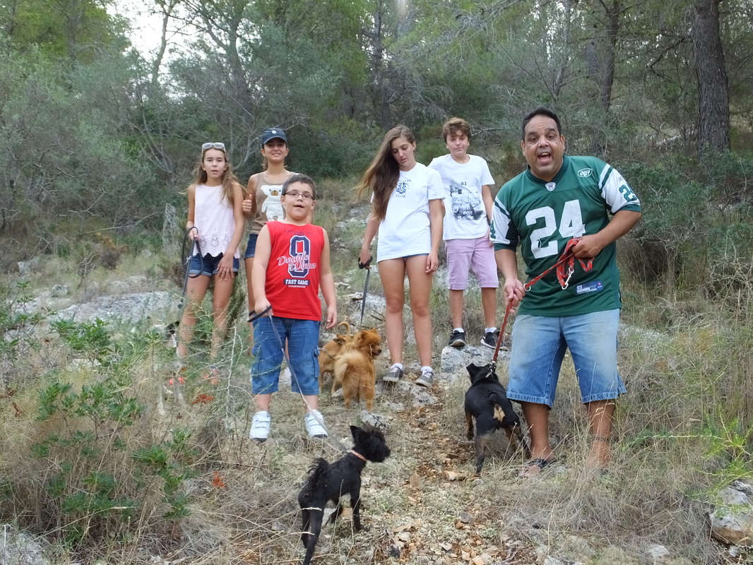 Bellver Leo Club learn about abandoned animals in Mallorca